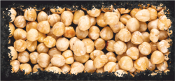 лешници /HAZELNUTS