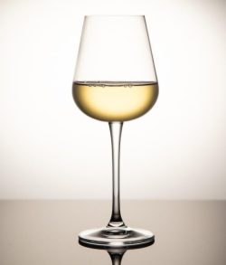 вино чаша /GLASS OF WINE